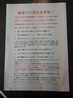 img_561994_31254631_0.jpeg